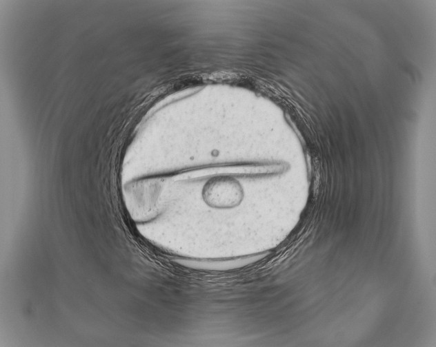 X0000110961345200907171641