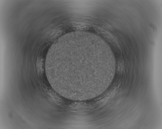 X0000110961346200907171641