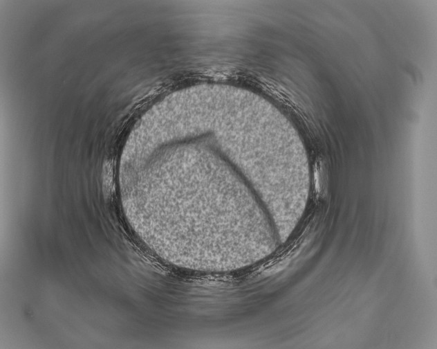 X0000110961347200907171641