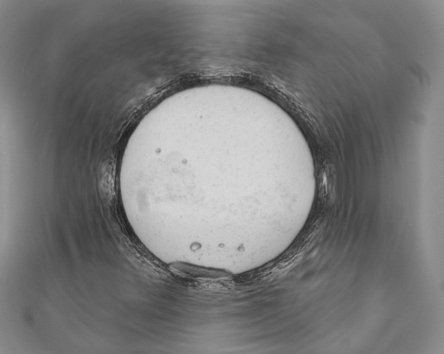 X0000110961348200907171641