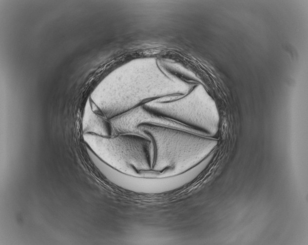 X0000110961349200907171641