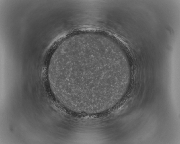 X0000110961351200907171641