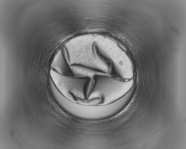 X0000110961353200907171641