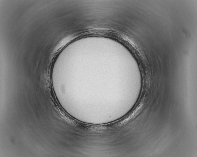 X0000110961354200907171641