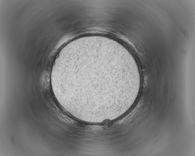 X0000110961355200907171641