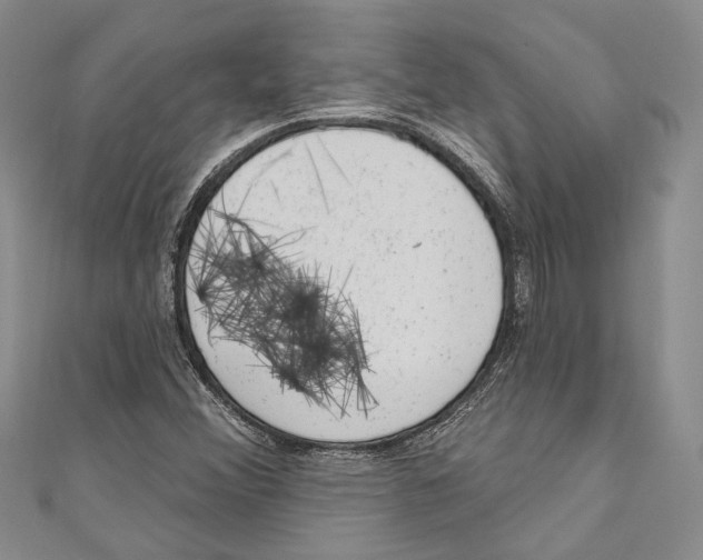 X0000110961356200907171641