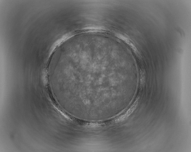 X0000110961357200907171641