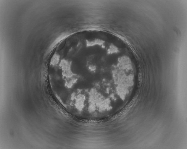 X0000110961359200907171641