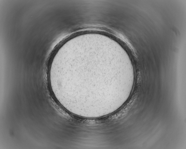 X0000110961360200907171641