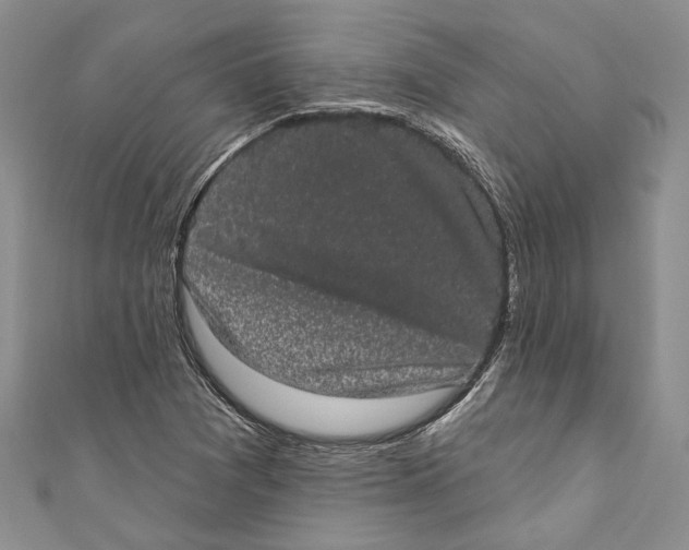 X0000110961361200907171641