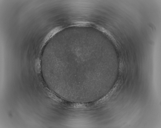 X0000110961362200907171641