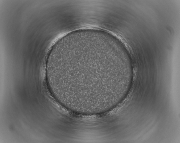 X0000110961363200907171641