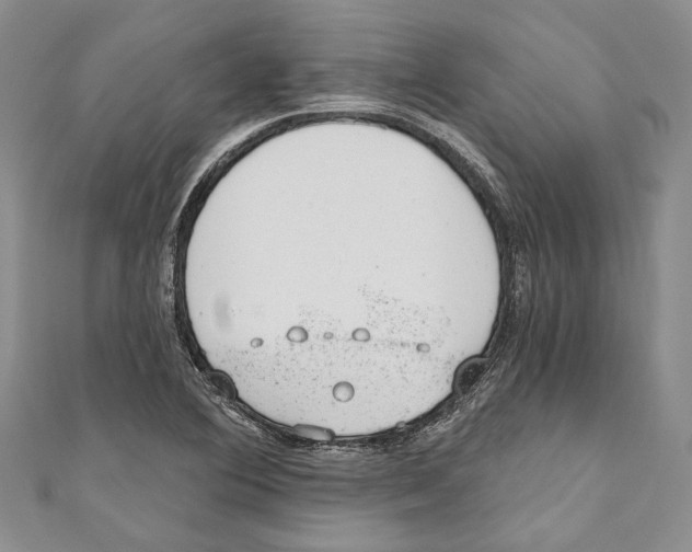 X0000110961364200907171641