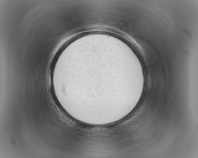 X0000110961368200907171641