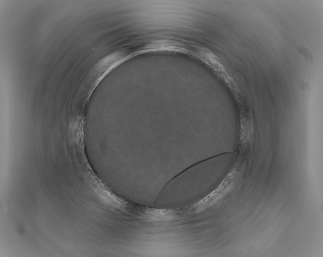 X0000110961369200907171641