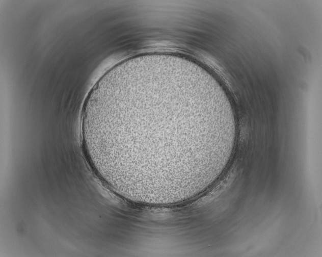 X0000110961370200907171641