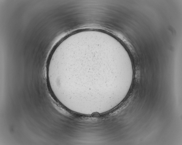 X0000110961372200907171641