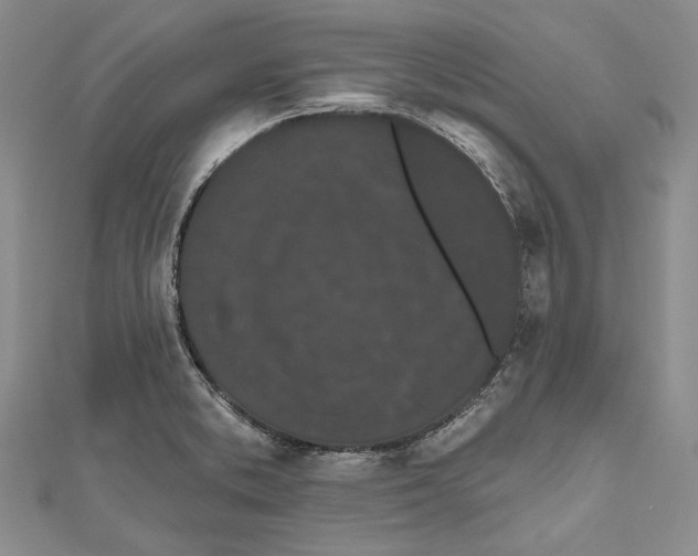 X0000110961373200907171641