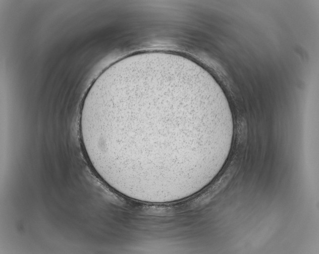 X0000110961374200907171641