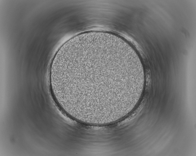 X0000110961375200907171641