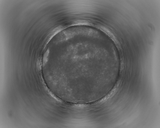 X0000110961377200907171641