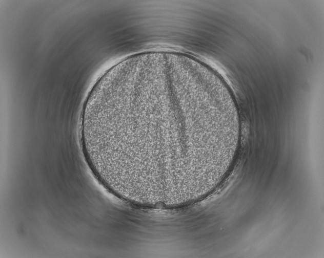 X0000110961379200907171641