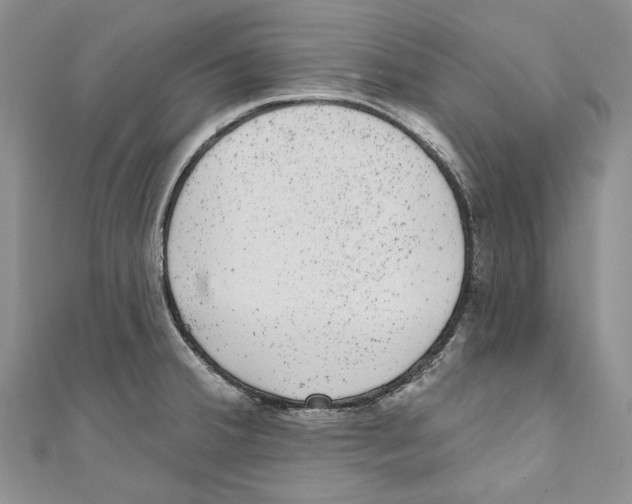 X0000110961380200907171641