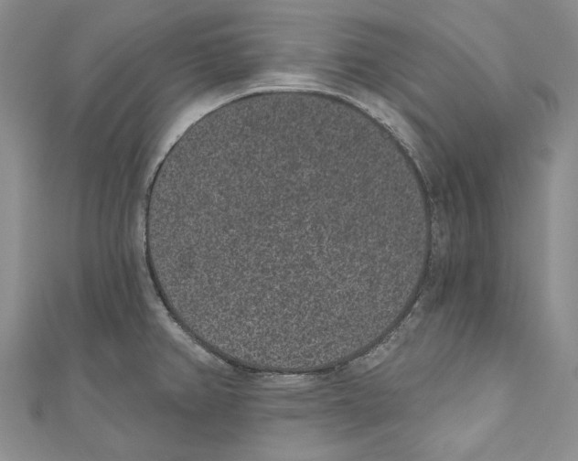 X0000110961382200907171641