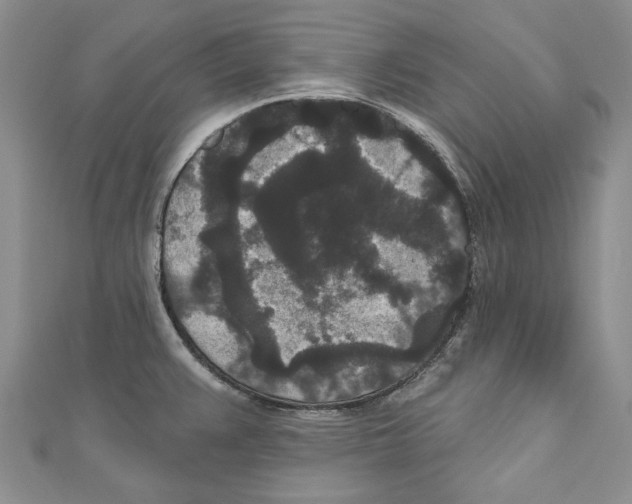 X0000110961383200907171641