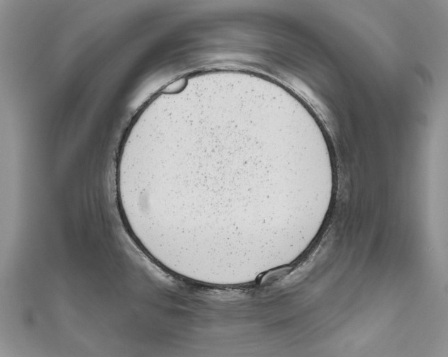 X0000110961384200907171641