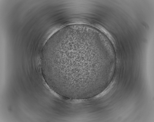 X0000110961385200907171641