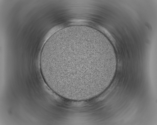 X0000110961386200907171641