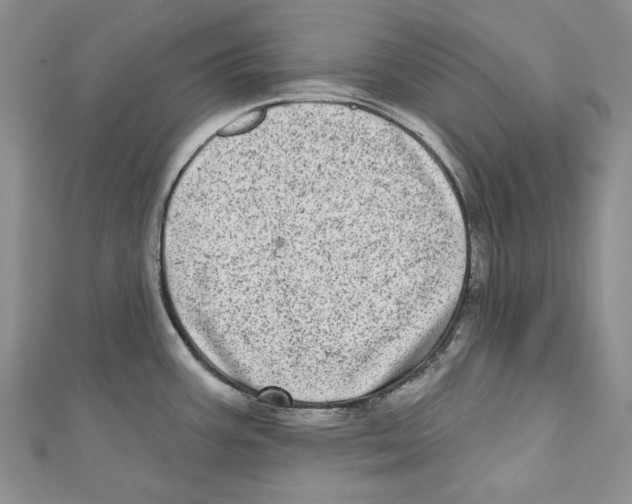 X0000110961387200907171641