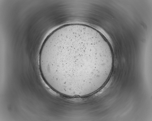 X0000110961388200907171641