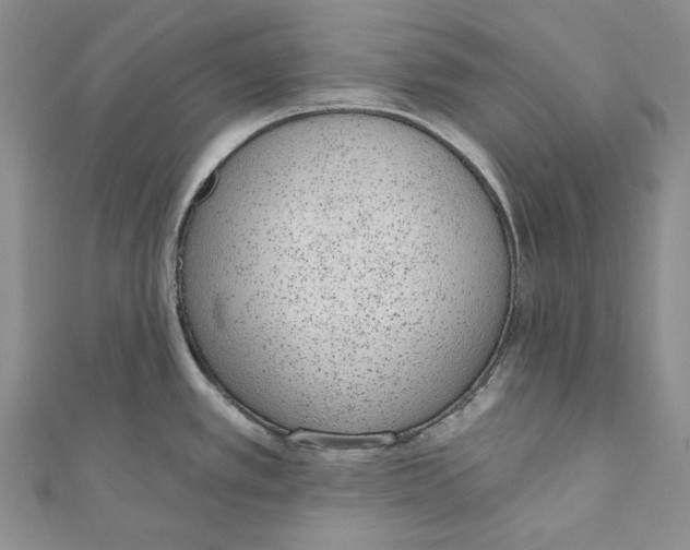 X0000110961389200907171641