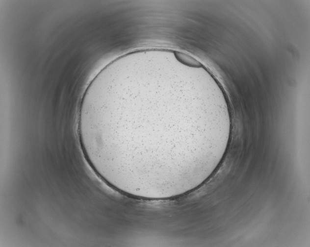 X0000110961390200907171641