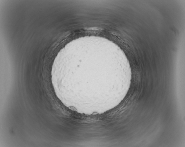 X0000110961393200907171640