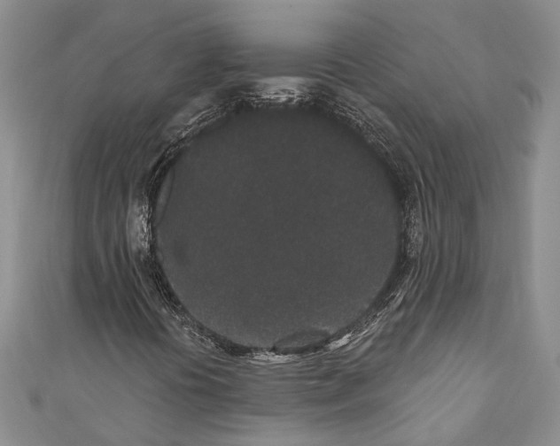 X0000110961394200907171640