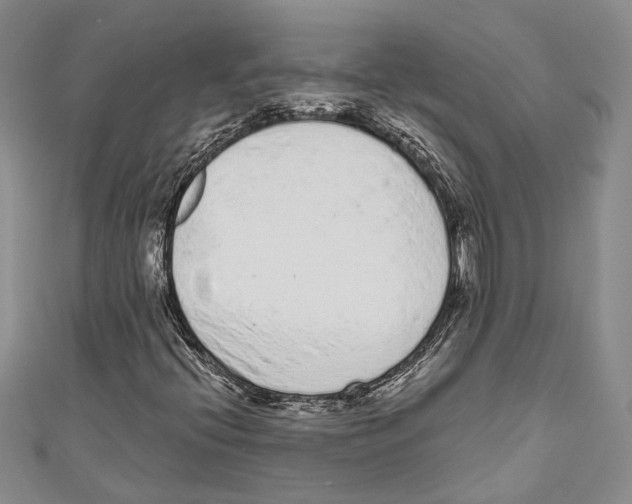 X0000110961396200907171640