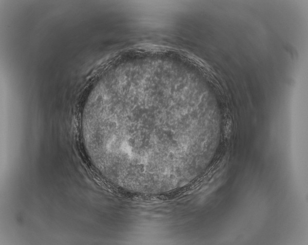 X0000110961397200907171640