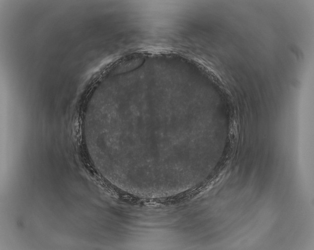 X0000110961398200907171640