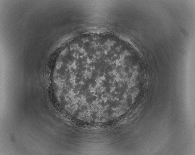 X0000110961399200907171640