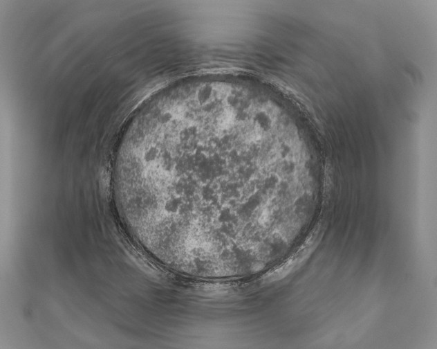 X0000110961401200907171640