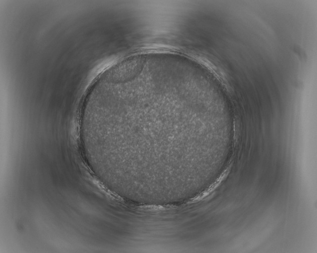 X0000110961405200907171640