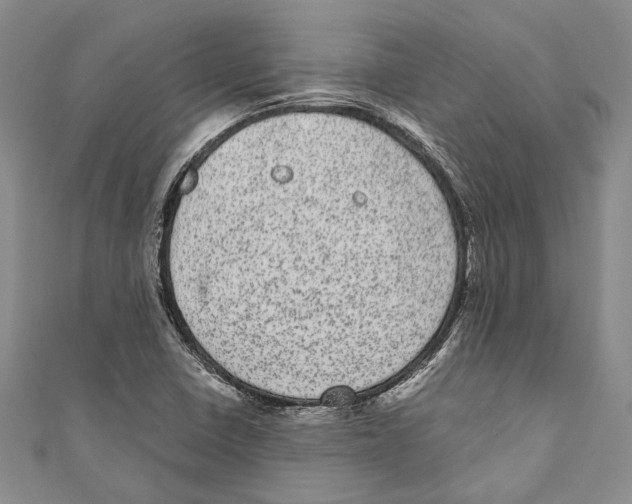 X0000110961410200907171640