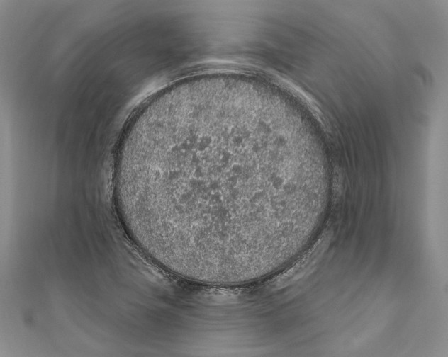 X0000110961411200907171640