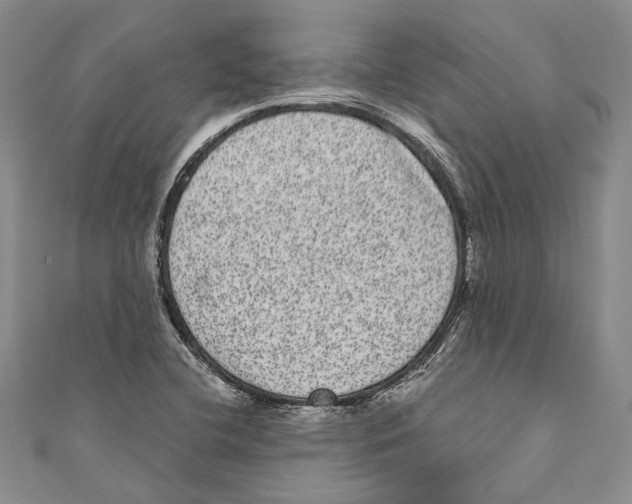 X0000110961412200907171640