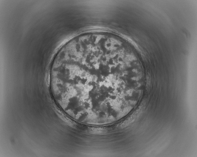 X0000110961413200907171640