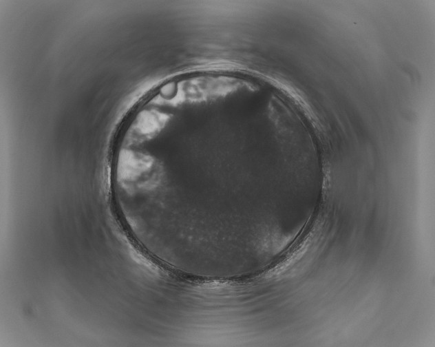 X0000110961414200907171640