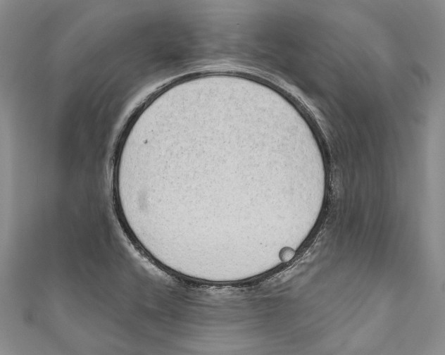 X0000110961416200907171640